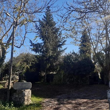 Pazo San Lorenzo- Puebla De Trives Bagian luar foto